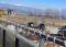 Трёхкомнатная квартира 98 м² в комплексе Aspen Heights, Пирин Голф